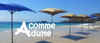 adulte